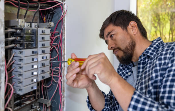 Best Electric Panel Repair  in Channahon, IL